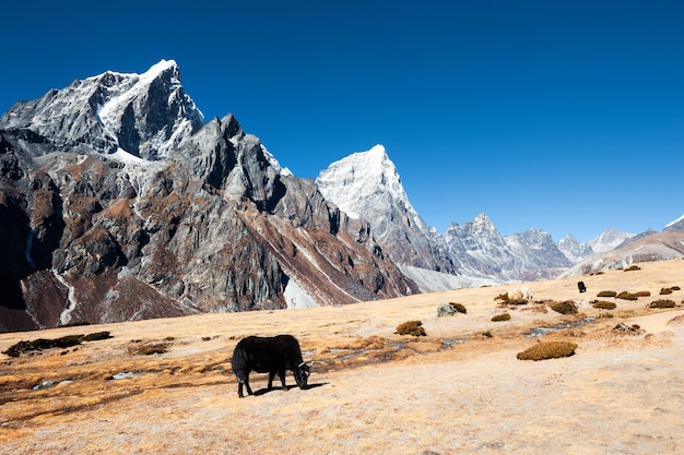 View of Mount Taboche and Cholatse in Himalayas, Nepal. Everest Base Camp trek, Sagarmatha national park