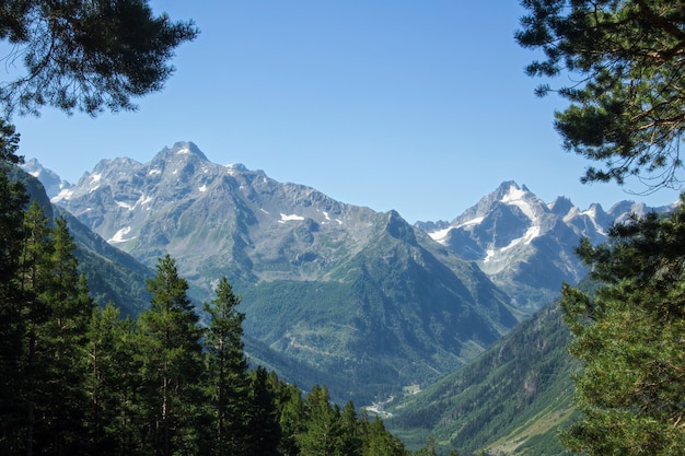 View of the mountain landscape with coniferous forests glaciers and mountain peaks