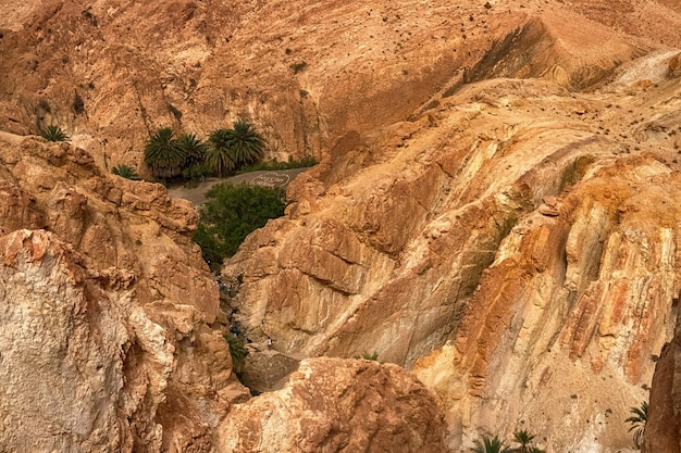 View of the mountain oasis of shebika in the middle of the sahara desert tunisia