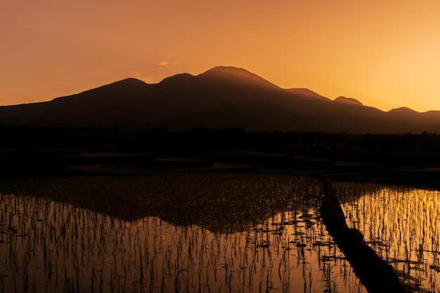 The view of the mountain reflected by the water with a beautiful golden color when the sunshine