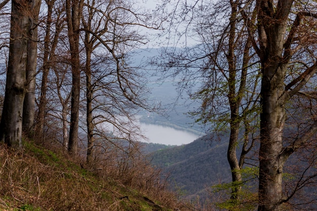 A view of a mountain valley with a lake in the foreground