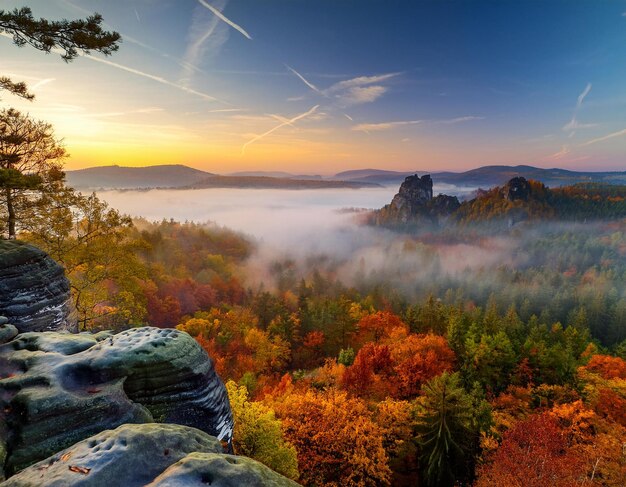 Photo a view of a mountain with a forest in the background