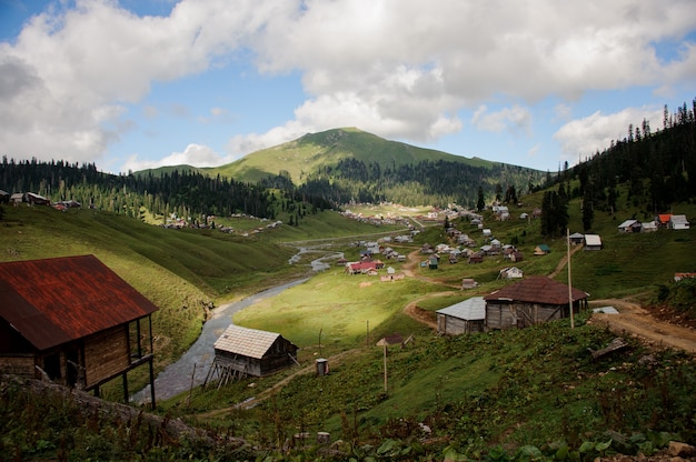 View of the mountains covered with forest and little houses on the hills