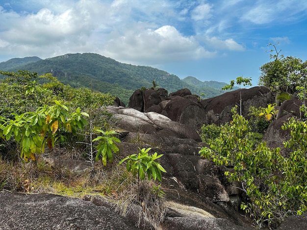 A view of the mountains from the top of the hill