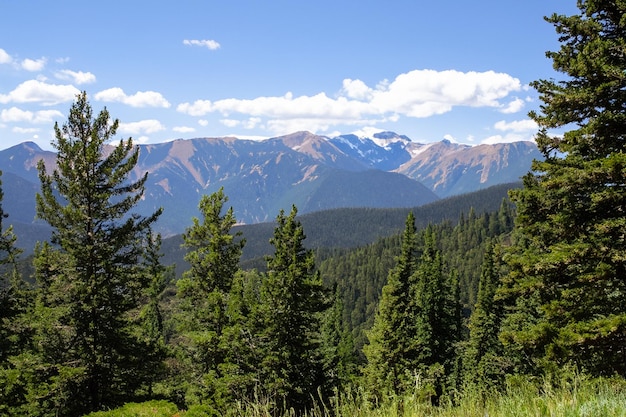 a view of the mountains from the trail