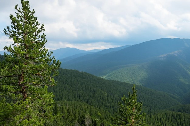 a view of the mountains from the trail