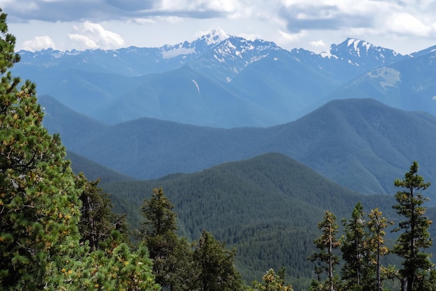 a view of the mountains from the trail