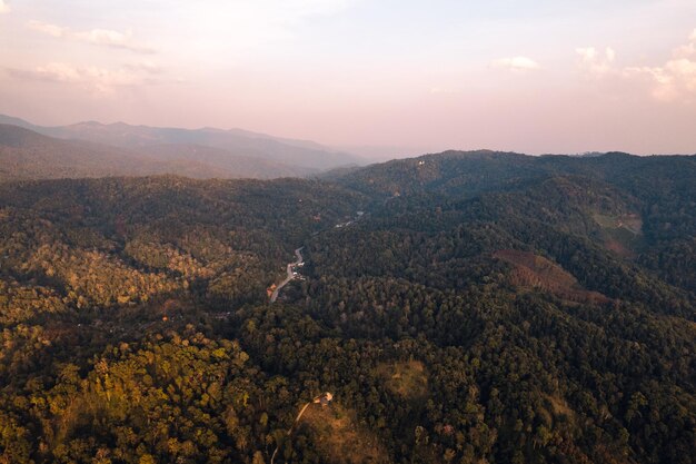 View of mountains and trees in the eveningin the summer