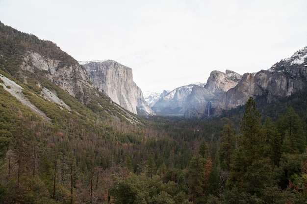 View of nature landscape at Yosemite National Park in the winterUSA