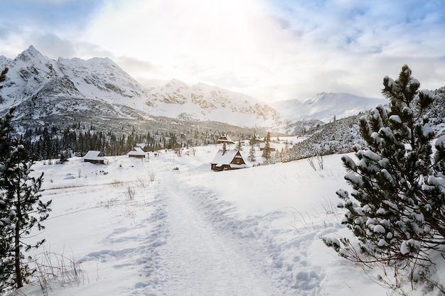 View of the nearby mountains in winter Zakopane High quality photo