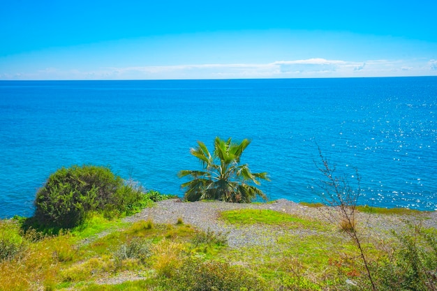 A view of the ocean from the property