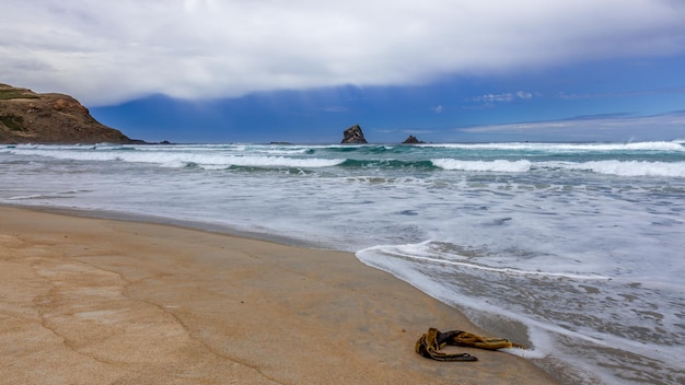 View offshore from Sandfly Bay in the South Island of New Zealand