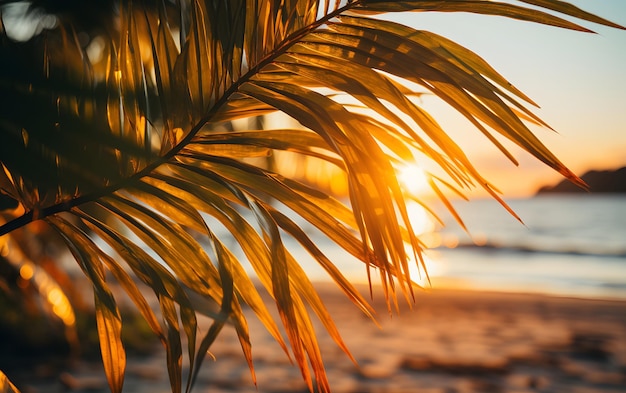 View of palm tree in front of the sea