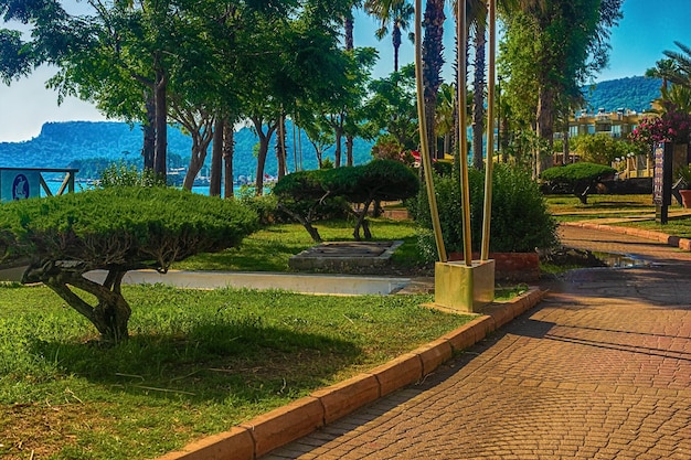 View of the path and the bridge in a green garden with green trees along the embankment in Kemer Turkey