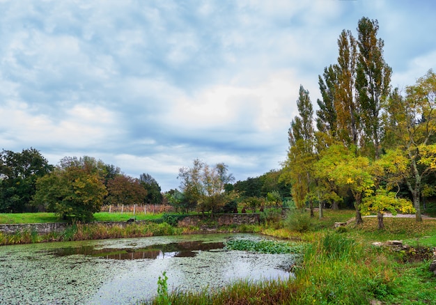 View of peaceful pond