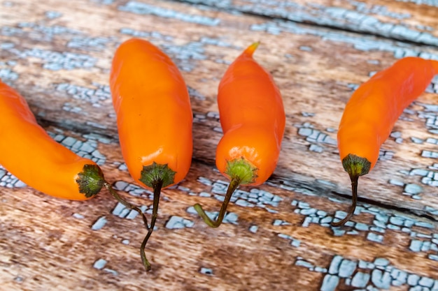 View of Peruvian yellow hot pepper