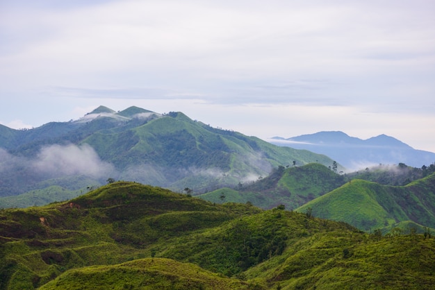 View point of 