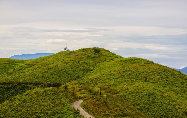 View point of 