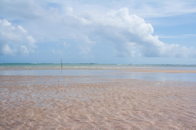 View of Porto da Rua beach, Sao Miguel dos Milagres, Alagoas state, during low tide