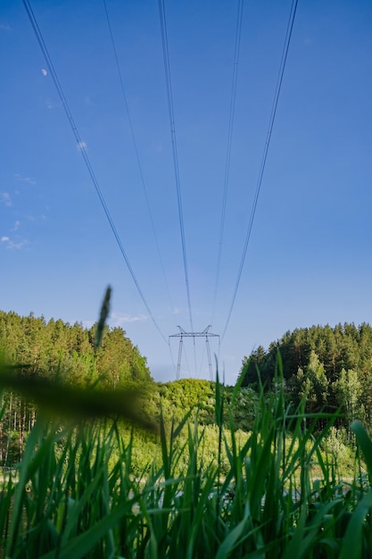 View of Power Lines from Riverbank