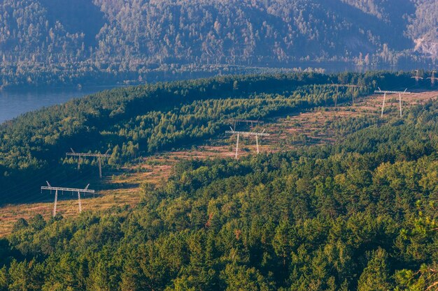 View of power lines passing through the forest