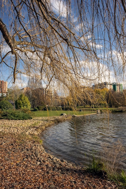 View of public city park