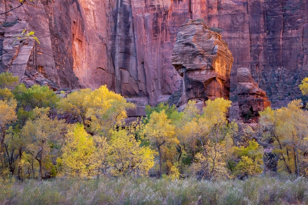 Photo view of pulpit rock in zion national park