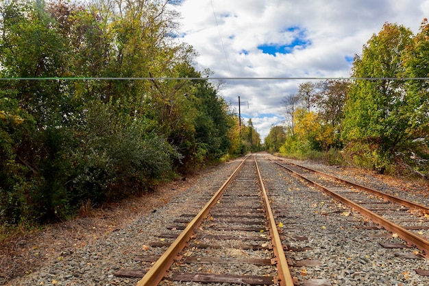 View of the railway receding into the distance through the trees Overcast sky