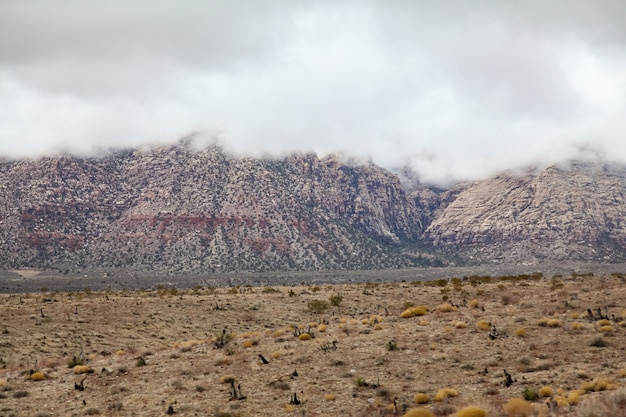 View of red rock canyon national park in Foggy day at nevada,USA.