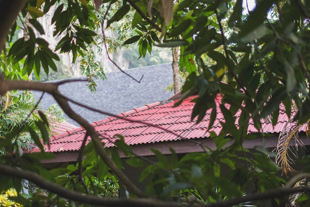 View to the red roof through trees in Southeast Asia