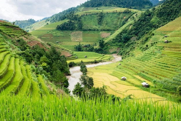 View of rice field terraced and river in Mu Cang Chai