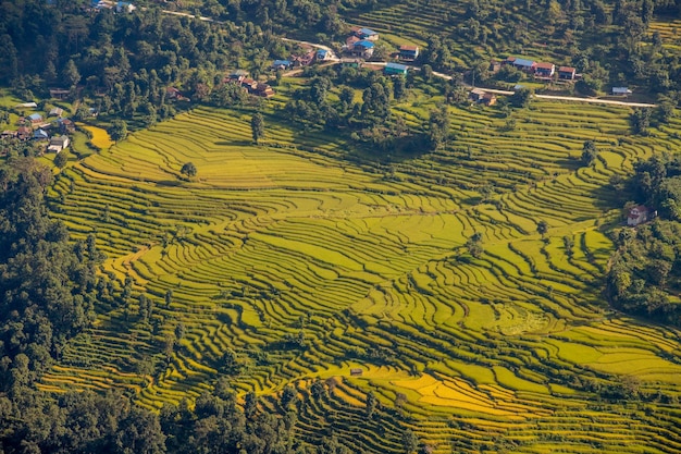 A view of the rice terraces from the air