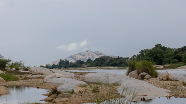 A view of the river from the river bank