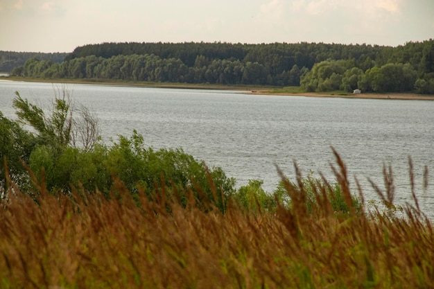 View on river and riverbank by forest