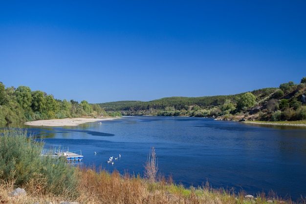 View in river in Vila Nova da Barquinha, Portugal