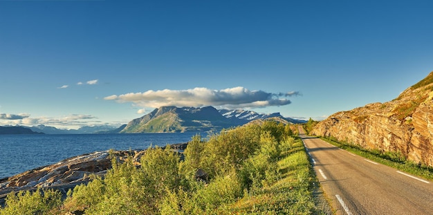 View of a road and green vegetation leading to an idyllic secluded area in summer Big green trees surrounding an empty street on the countryside Landscape of greenery alone a concrete pathway