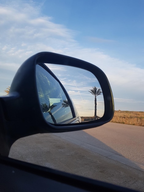 view of a road with palm trees from a rear view mirror of a car