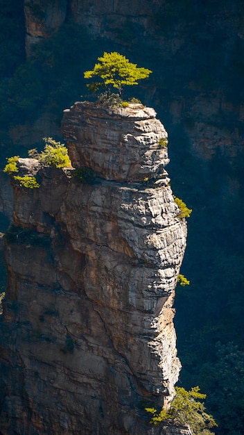 View of rock formation