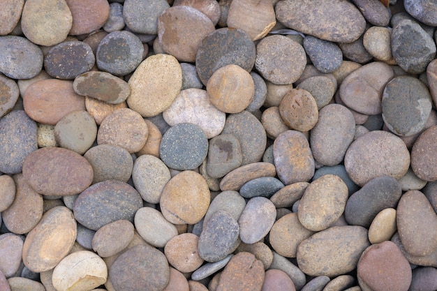 View of round pebble background textture.