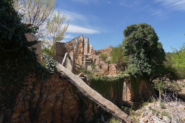 A view of the ruins of the old city of monteverde.