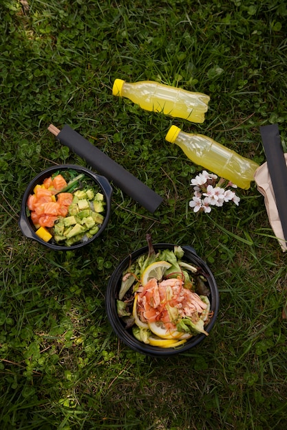 View of salmon dish bowl