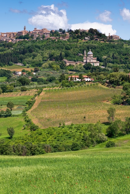 View of San Biagio church and Montepulciano