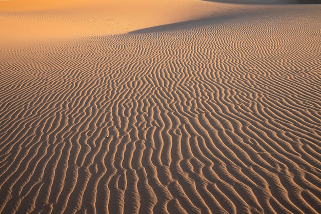 Photo view of sand dune