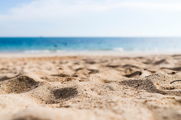 View of a sandy beach