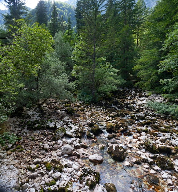 View of Savica river, Bohinj. Slovenia