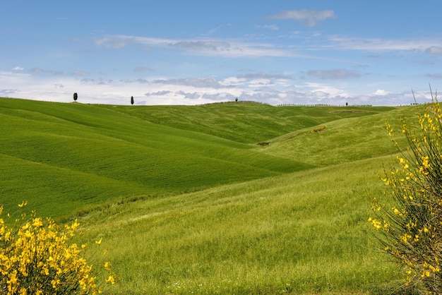 View of the Scenic Tuscan Countryside