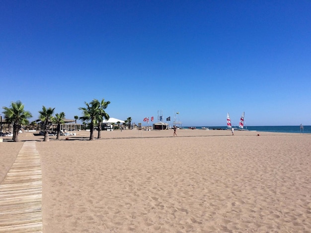 View of a sea beach with palm trees sand and some people relaxing