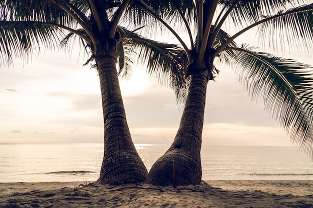 View of the sea and the beach