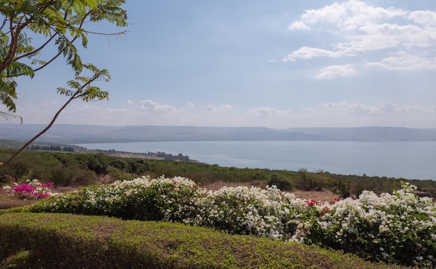 View of the Sea of Galilee Tiberias Israel Beautiful landscape on sunny day on Kinneret lake