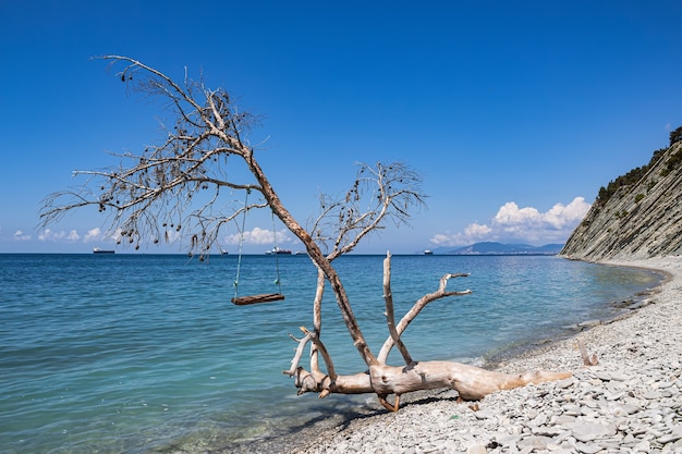 View of the sea, rocks, stone beach with swings on a fallen tree and cargo ships. Homemade sea swings on a wild beach entertain tourists.